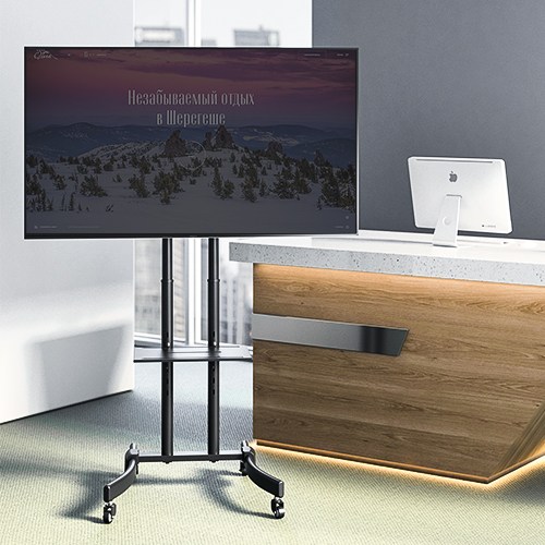 Мобильный ТВ стенд для телевизора SBOX FS-400