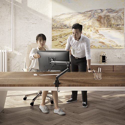 Кронштейн для монитора Ergosmart Spring LDT20-C012