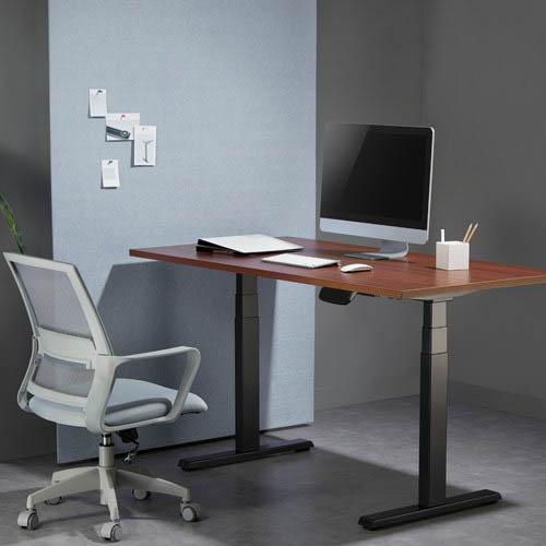 Регулируемый  двухмоторный стол Ergosmart Ergo Desk Pro