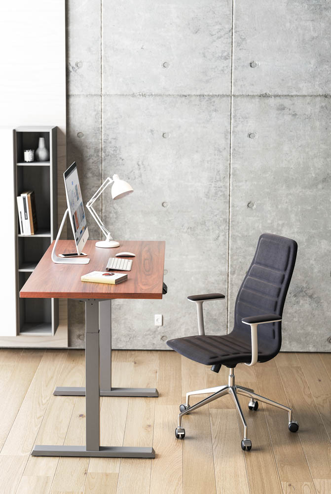Стол регулируемый Ergosmart Electric Desk Compact